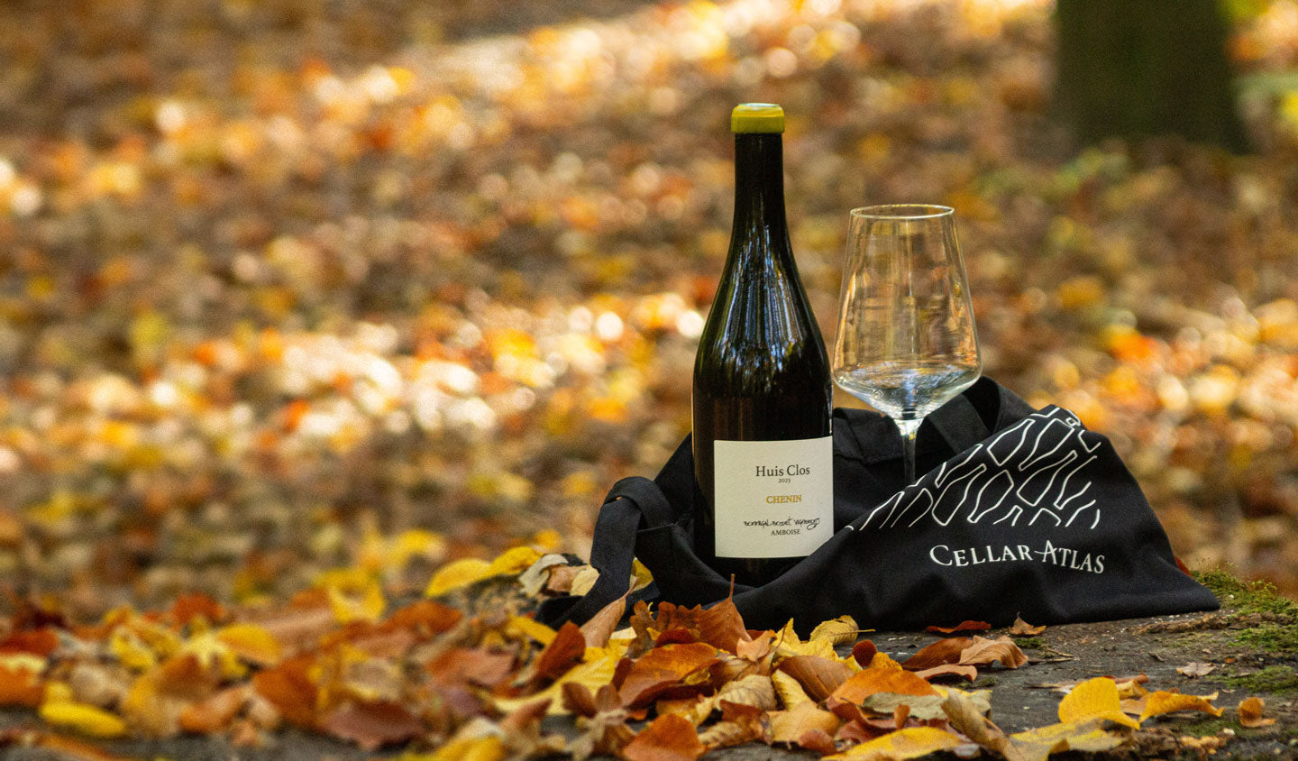 Interesting facts about wine labels